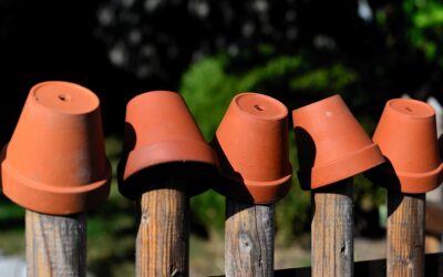 Myslíkova – květináče